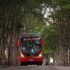 Ônibus Volvo B340M Biarticulado