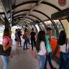 Novo biarticulados conectados Volvo 