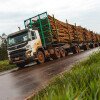 Suzano amplia produtividade do transporte de madeira reflorestada com mais hexatrens Volvo