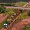 Suzano amplia produtividade do transporte de madeira reflorestada com mais hexatrens Volvo