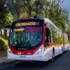 Subus, operador de ônibus de Santiago, no Chile, renova frota com 80 articulados Volvo