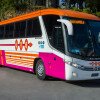 Volvo amplia exportações de ônibus com novo embarque para a África 