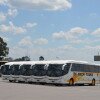 Volvo e Marcopolo reforçam frota da De Palm Tours no Caribe