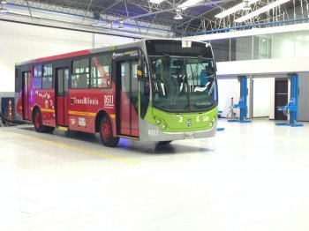 Híbrido Bogotá