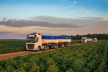 AMAGGI adquire 440 caminhões Volvo para o transporte de produtos agrícolas para exportação